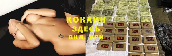 прущие крисы Верея