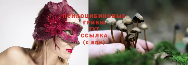 2c-b Белокуриха