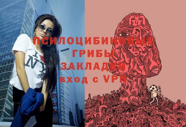 соль курить ск Бородино