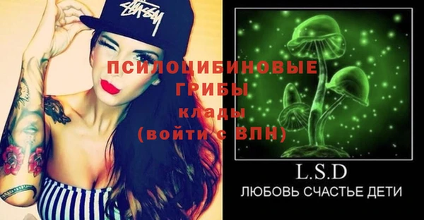 героин Бикин