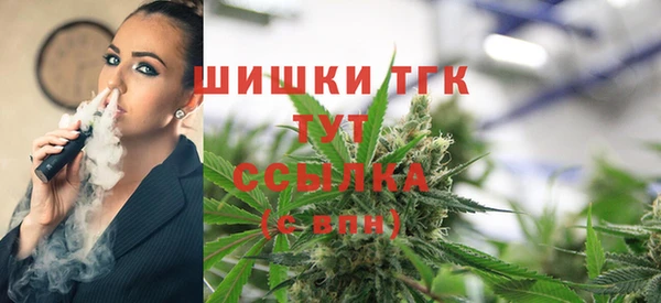 прущие крисы Верея