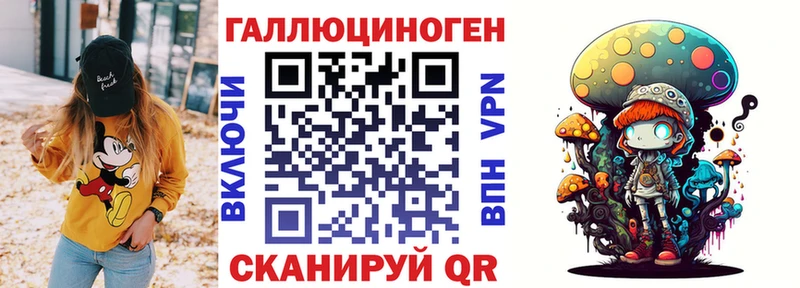 Галлюциногенные грибы Cubensis  Горячий Ключ 