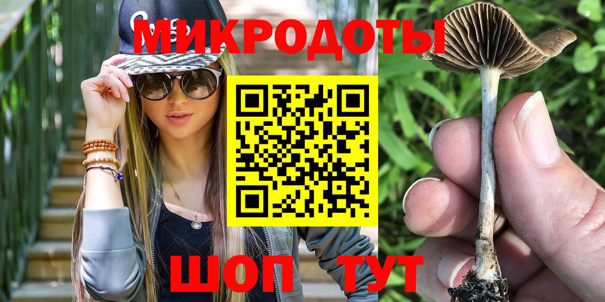Псилоцибиновые грибы Psilocybine cubensis  Вход с VPN  что такое наркотик  Горячий Ключ  Галлюциногенные грибы MAGIC MUSHROOMS 